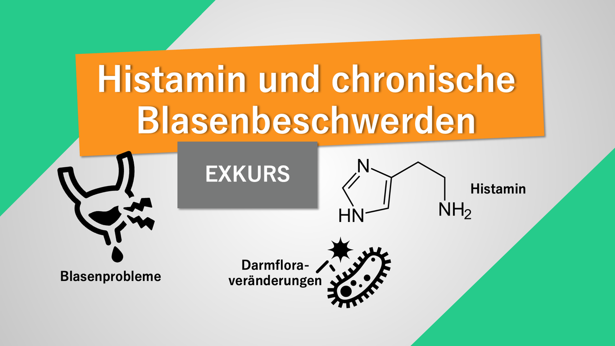www.immunoloco.com