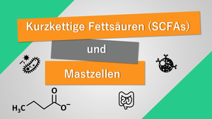 Kurzkettige Fettsäuren (SCFAs) und Mastzellerkrankungen