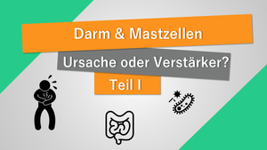 Die Darm-Mastzell-Achse: Ursache oder Verstärker von Symptomen?