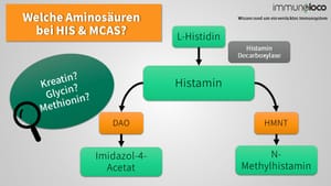 Aminosäuren bei Histaminunverträglichkeit und Mastzellerkrankungen (MCAS)
