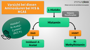 3 umstrittene Aminosäuren bei Histaminunverträglichkeit & MCAS